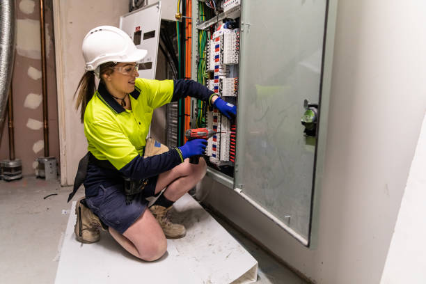 Best Electric Panel Repair  in Rock Valley, IA