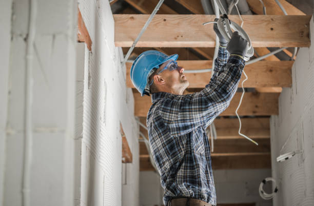 Best Local Electrician Companies  in Rock Valley, IA